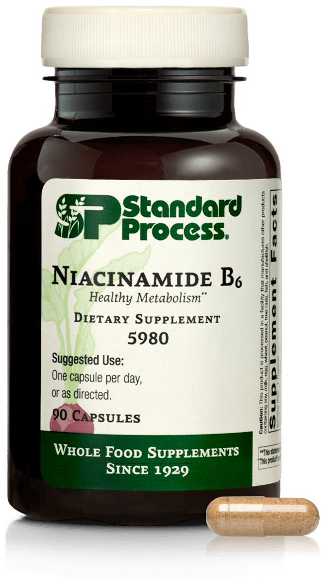 Niacinamide B6, 90 Capsules