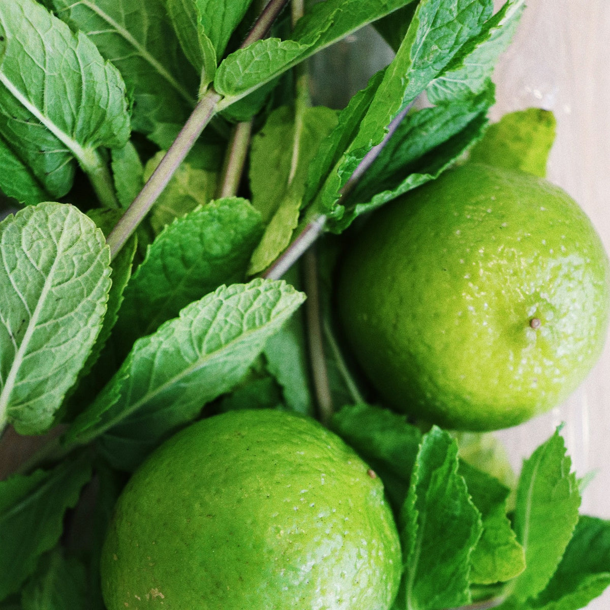 Detox