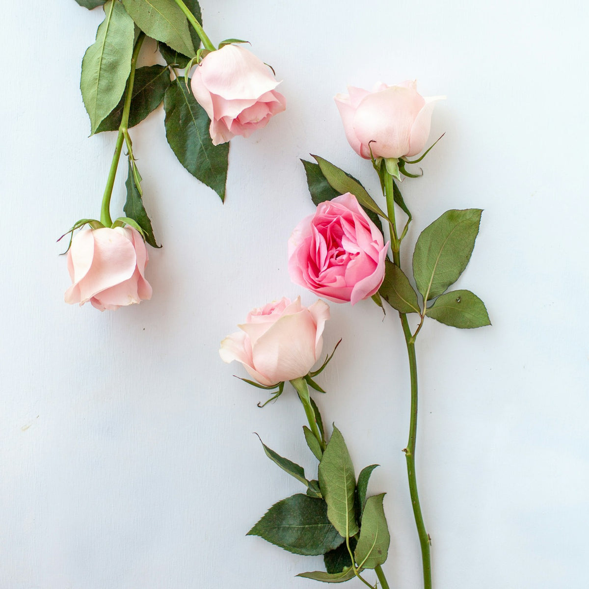 Women's Health